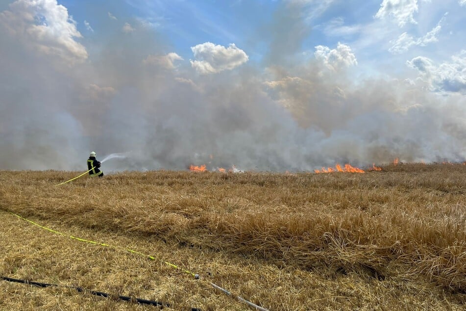 Sieben Hektar Feld verbrennen: 100 Feuerwehrleute aus Thüringen und Sachsen-Anhalt im Einsatz
