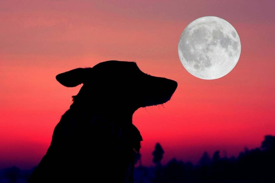 Today's horoscope: Free daily horoscope for Thursday, June 12, 2025