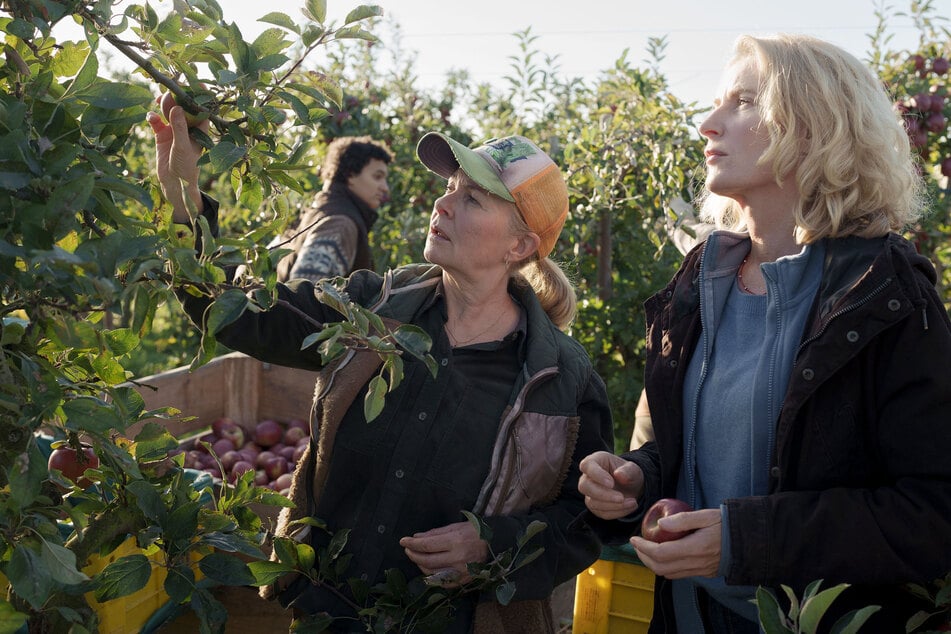 Um den Fall zu lösen, scheut die Ermittlerin nicht davor, an der Seite von Apfelbauerin Marlies Feldhusen (Lina Wendel, 60) mit anzupacken.