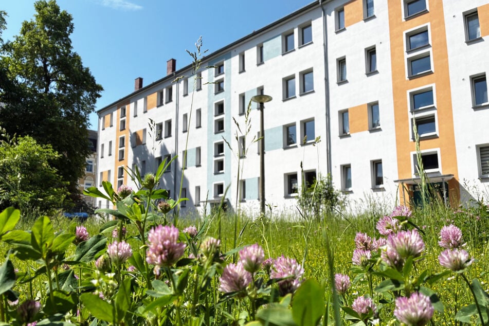 Beim Mieterfest "Musik unter Nachbarn" bietet die WbG Plauen am Samstag (6.6.) von 15 bis 18 Uhr offene Wohnungsbesichtigungen an.