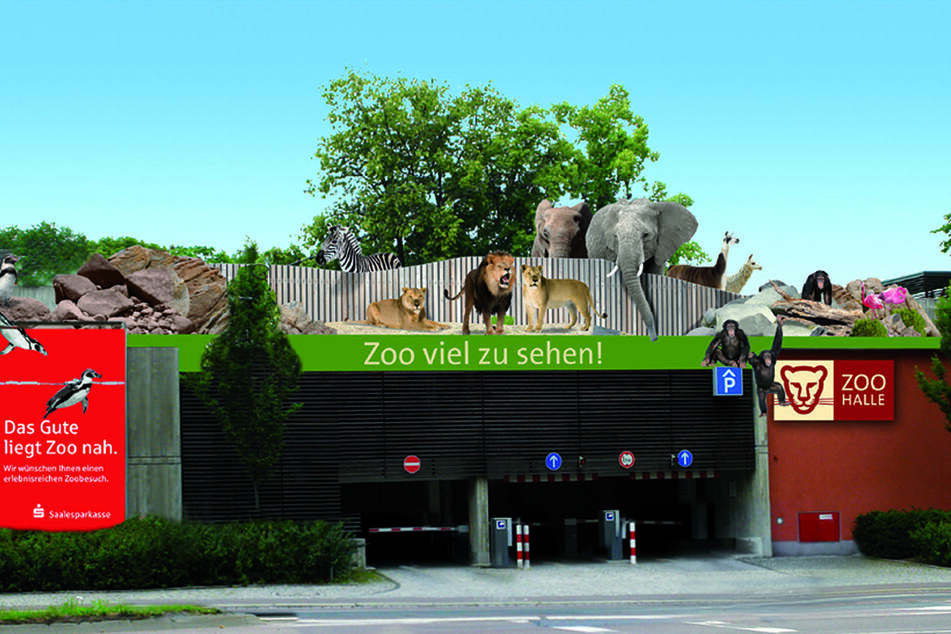 Da auch in Halle die Infektionszahlen weiter steigen, hat der Bergzoo ab sofort bis mindestens 10. Januar geschlossen.