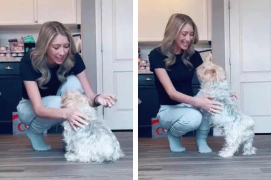 Bentley the dog is visibly delighted when he is finally given a (fake) shot!