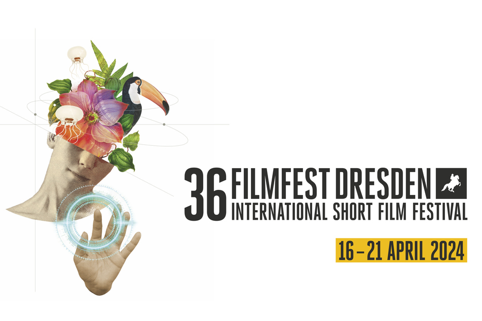 Das Filmfest Dresden lädt vom 16. bis zum 21. April zu Kurzfilm-Vorstellungen ein.