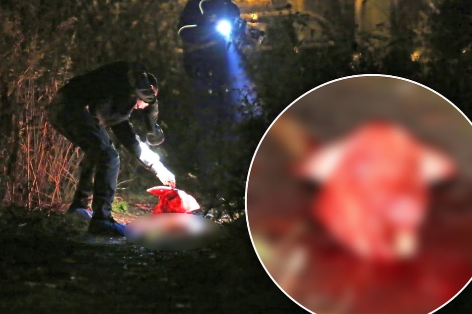 2013 hatten Unbekannte blutige Schweineköpfe auf dem Gelände drapiert.