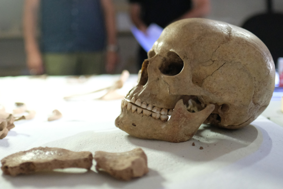 Senkrecht sitzend, mit Baby in den Armen begraben: Was verraten neue Funde zur Schamanin von Bad Dürrenberg?