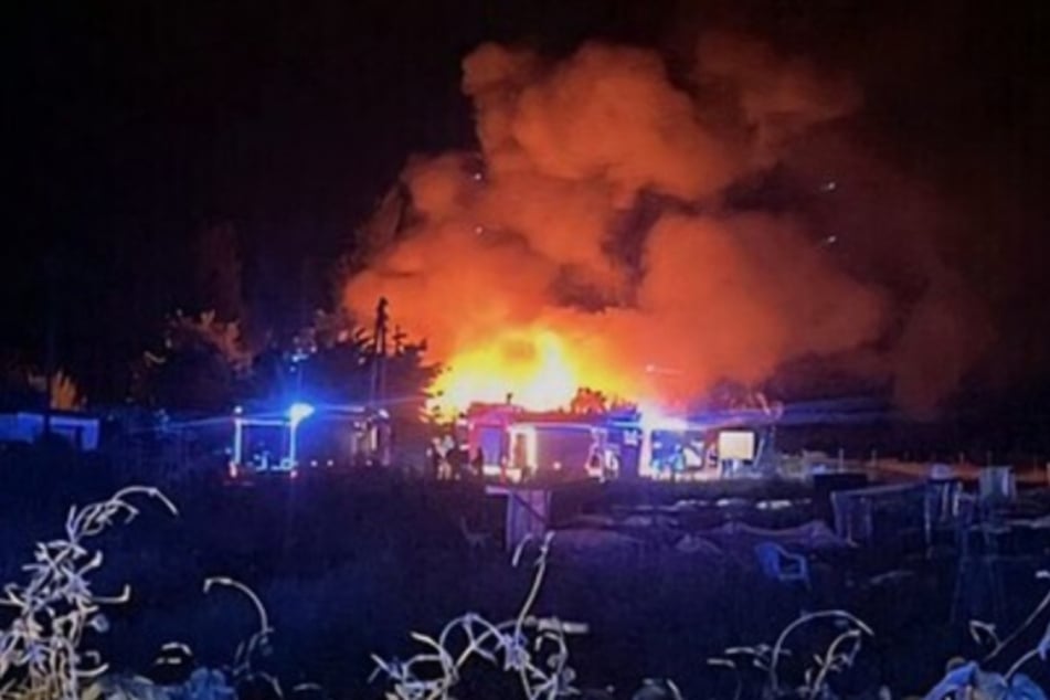 Berlin: Großeinsatz neben der Autobahn: Feuerwehr kämpft stundenlang gegen Flammen