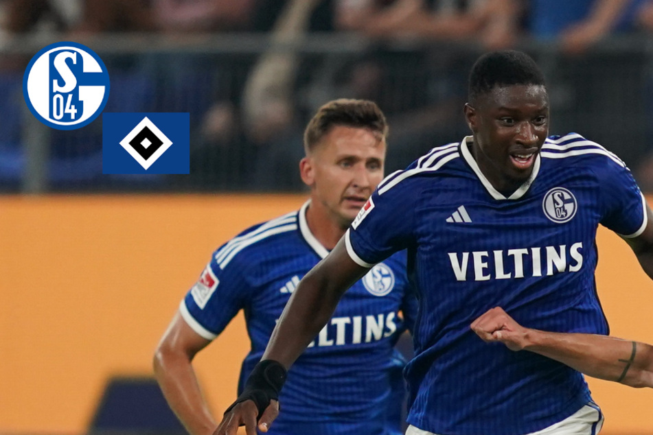 Schalke-Profi Ibrahima Cissé nach HSV-Spiel rassistisch beleidigt - Vereine reagieren