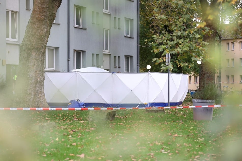 Der Tatort vor einem Wohnblock in der Ackerstraße in Köln-Mülheim wurde mit einer Sichtschutzwand versehen.