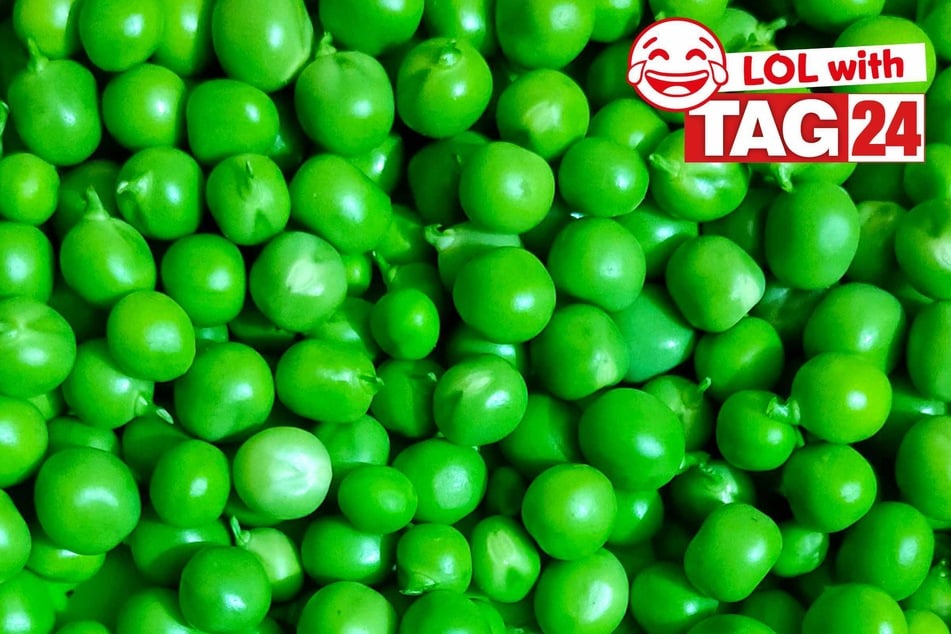 Joke of the Night for February 18, 2026: A veggie funny one.