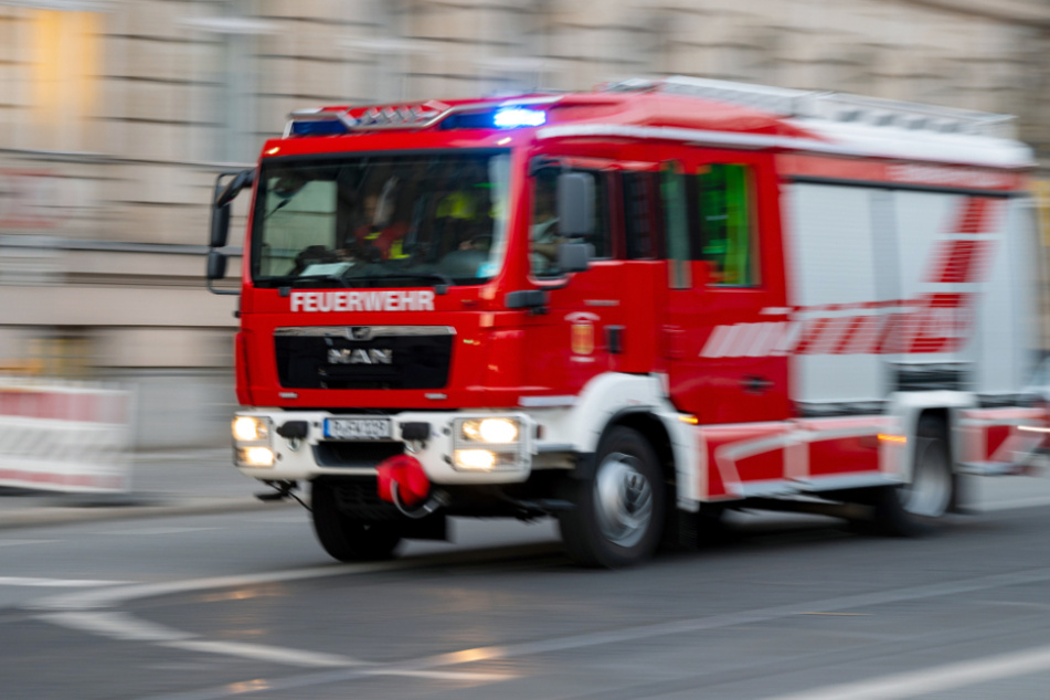 Zwischen Brühl und Bornheim: Böschungsbrände sorgen für Zugausfälle und Umleitungen