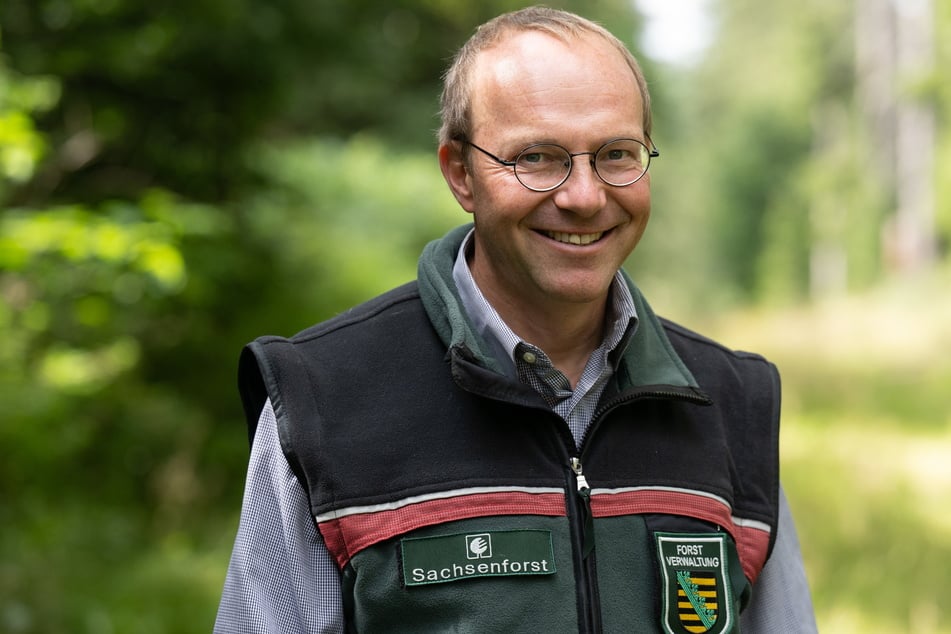 Schäden ja, aber Umwelt- und Forstminister Wolfram Günther (51, Grüne) ist dennoch nicht unzufrieden. "Der sächsische Wald ist auf einem guten Weg", meint er.