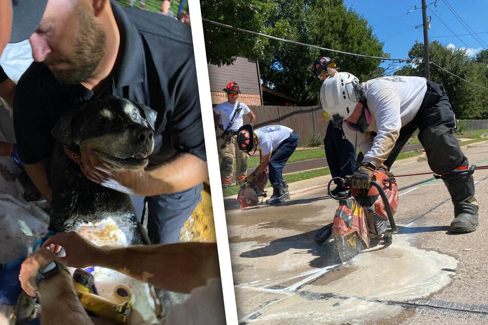 Texas fire department tears up whole road to save trapped dog!