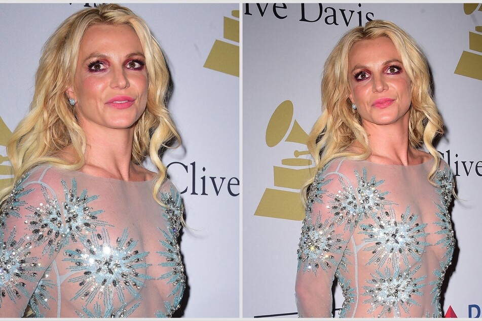 Britney Spears' loyal fans may have crossed a line this time.