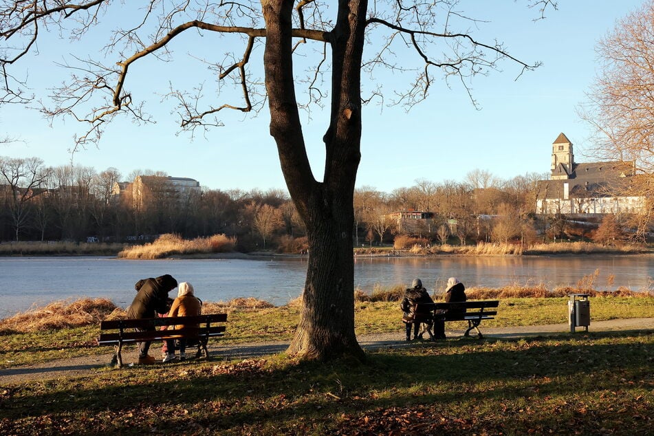 Ungewöhnliche Aussichten bieten sich am Chemnitzer Schlossteich, der vorübergehend abgelassen wurde.