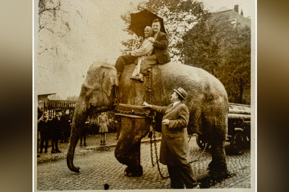 Ein Erinnerungsfoto an einen Stopp des Elefanten in der Annaberger Straße bewahrte Tanzschulgründer Walter Emmerling in seinen Familienfotos auf.