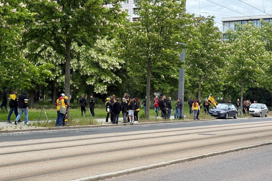 Einige Dynamos machen sich schon fürs Spalier bereit.