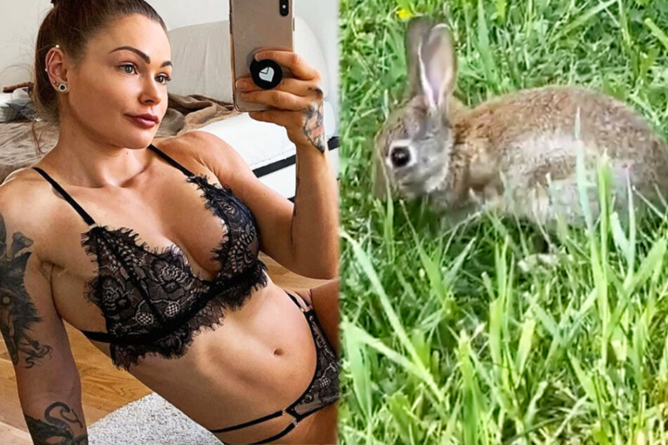 Sexy Influencerin trifft Kaninchenbaby und hat wertvollen Tipp