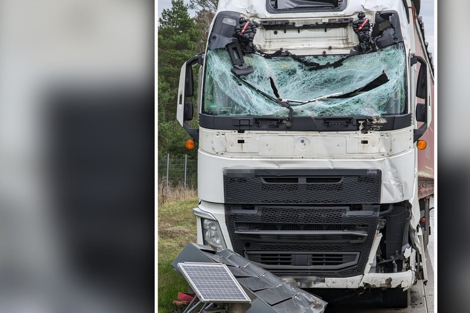 Unfall A9: Schreckmoment auf der A9: Bussard verursacht 50.000 Euro Schaden