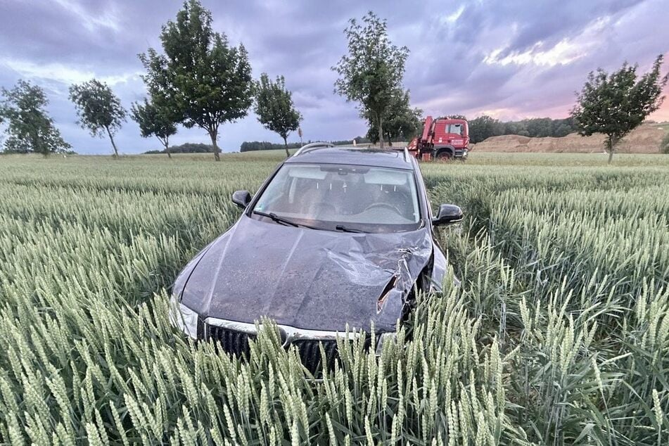 Der Skoda-Fahrer kam von der S 177 ab und landete in einem Getreidefeld, anschließend flüchtete er.