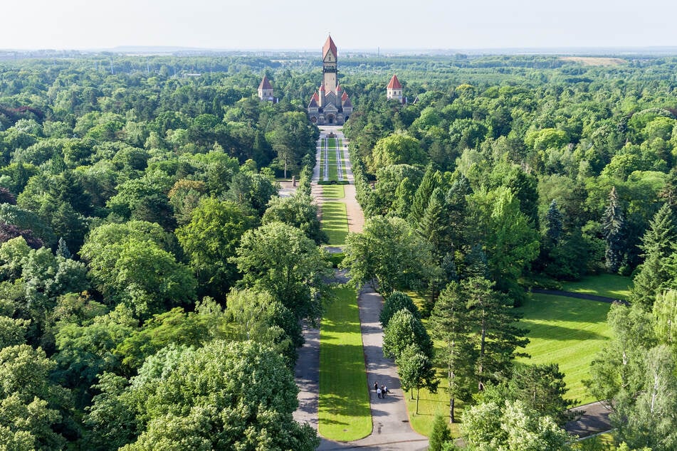Versuche, die Rehe vom weitläufigen Südfriedhof zu vertreiben, blieben bisher erfolglos. (Archivfoto)