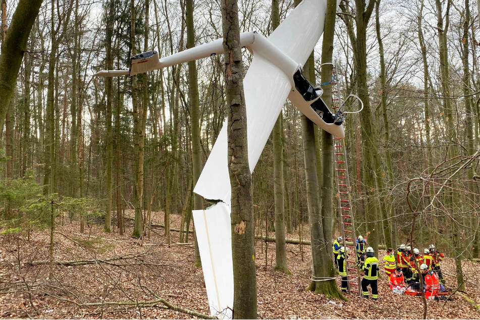 Segelflugzeug bleibt bei Absturz in Baumkrone hängen! Pilot in Cockpit gefangen
