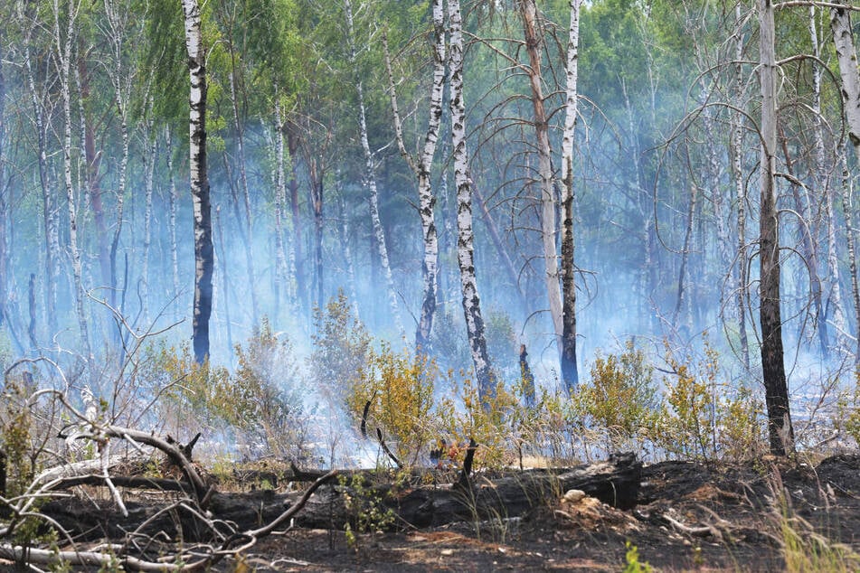 Die Flammen auf dem früheren Militärgelände bei Jüterbog sind am Dienstagmorgen erloschen. (Archivfoto)