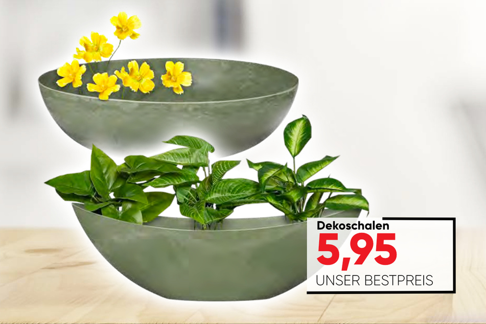 Dekoschalen