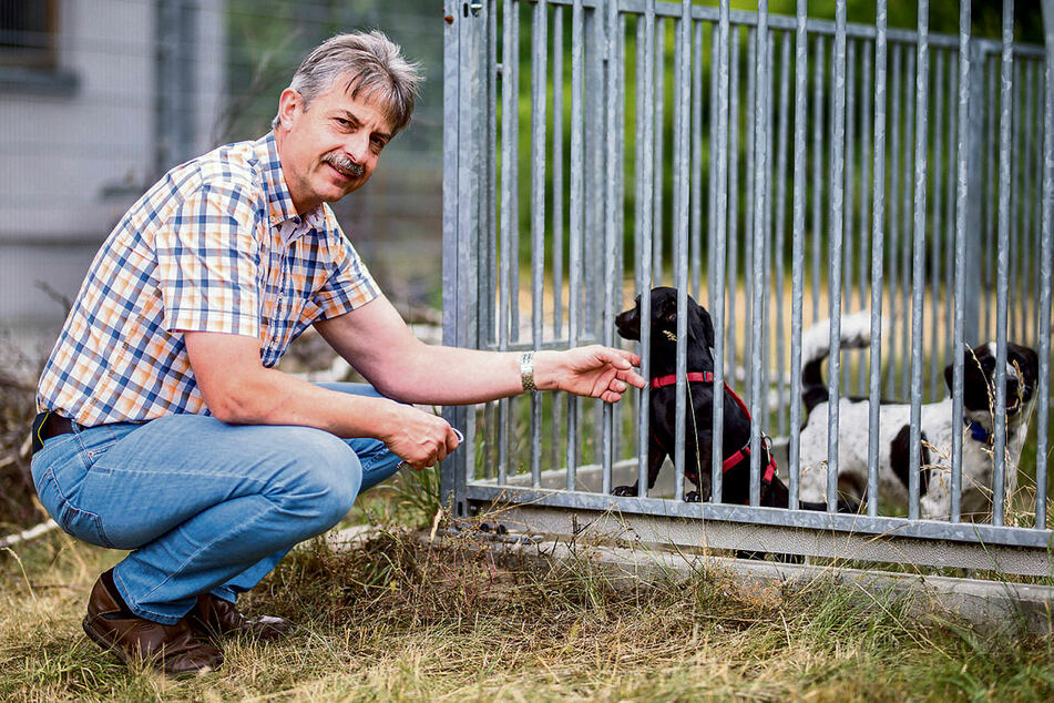 Corona Krise Lost Haustier Boom In Sachsen Aus Hundewelpen Gefragt Wie Nie Tag24