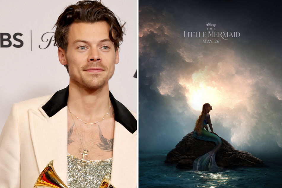 Did Harry Styles reject a role in the live-action Little Mermaid?