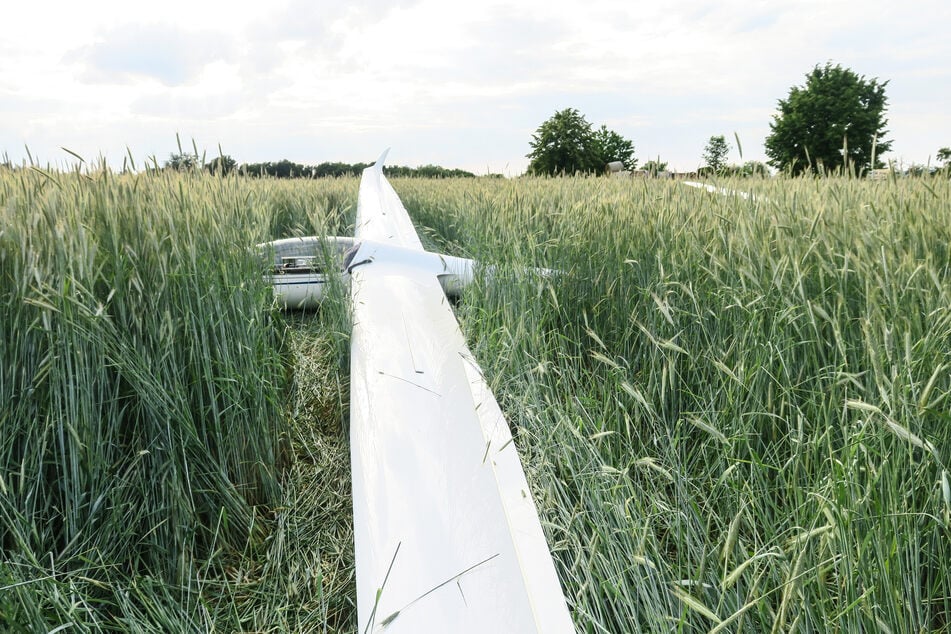 Erzgebirge: Segelflugzeug muss im Getreidefeld notlanden
