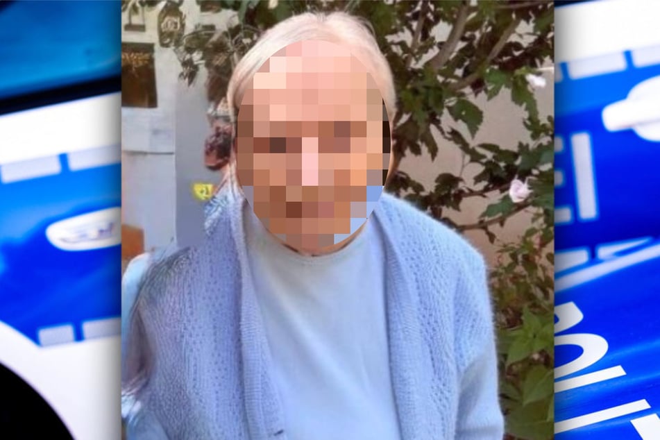 Die Vermisste wurde von Rettungshunden gefunden.