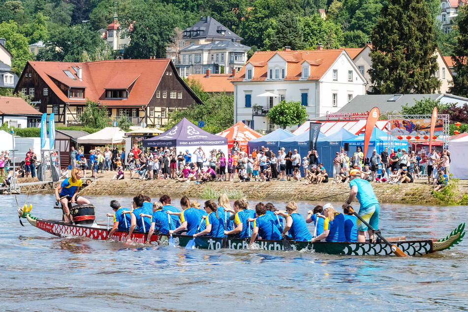 30 Teams starteten beim diesjährigen Drachenboot-Festival am Blauen Wunder.