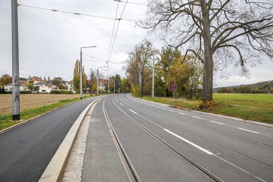 Bald kann auf der Wehlener Straße wieder der Verkehr über den Niedersedlitzer Flutgraben rollen.