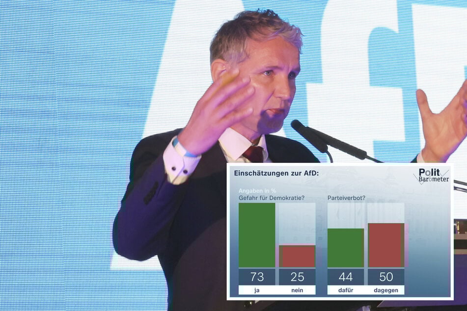 Ist die AfD eine Gefahr für die Demokratie? Das sagen die Menschen in Deutschland