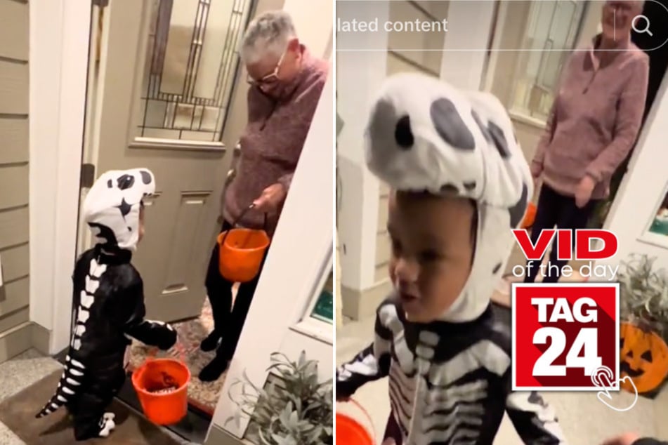 viral videos: Viral Video of the Day for November 1, 2024: First-time trick-or-treater steals the show on Halloween!