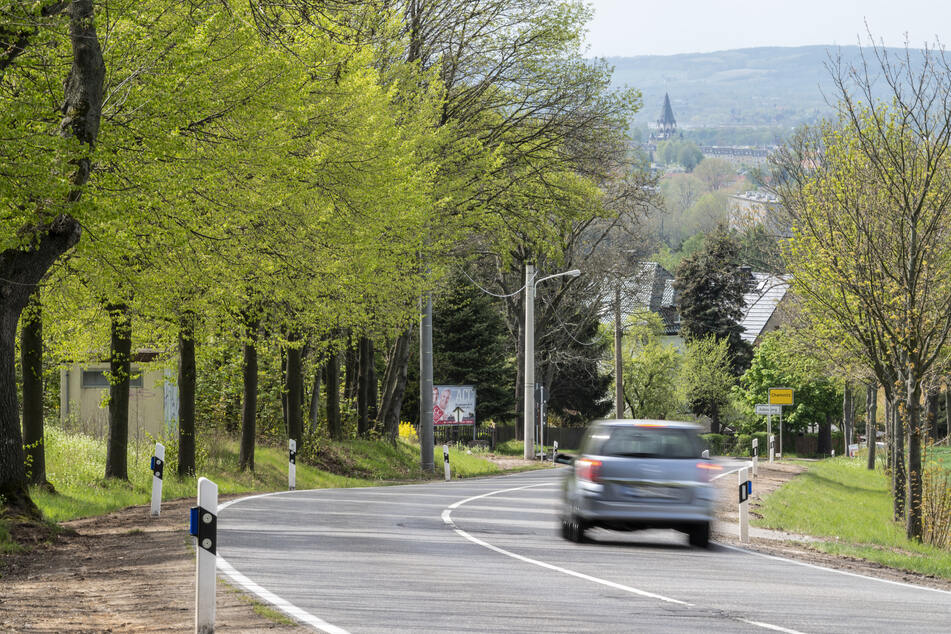 Die Erde von 33.000 Straßenrand-Bäumen in Chemnitz ist hart, trocken und wasserundurchlässig.