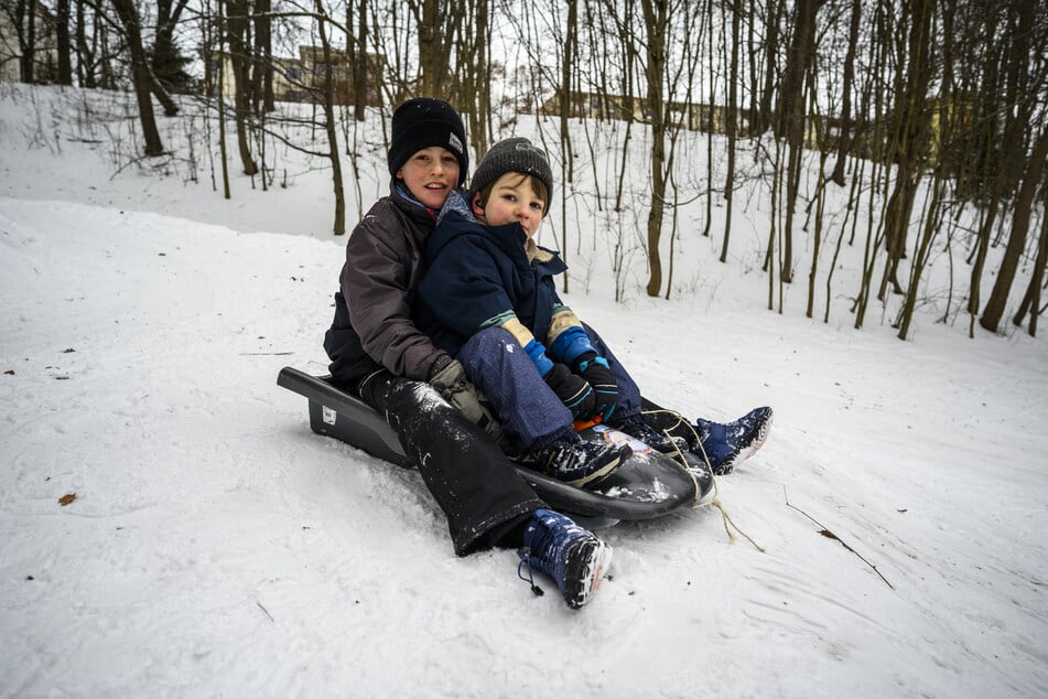 Willi (l.) und Pablo haben ihren Lieblingshang im Stadtpark gefunden.