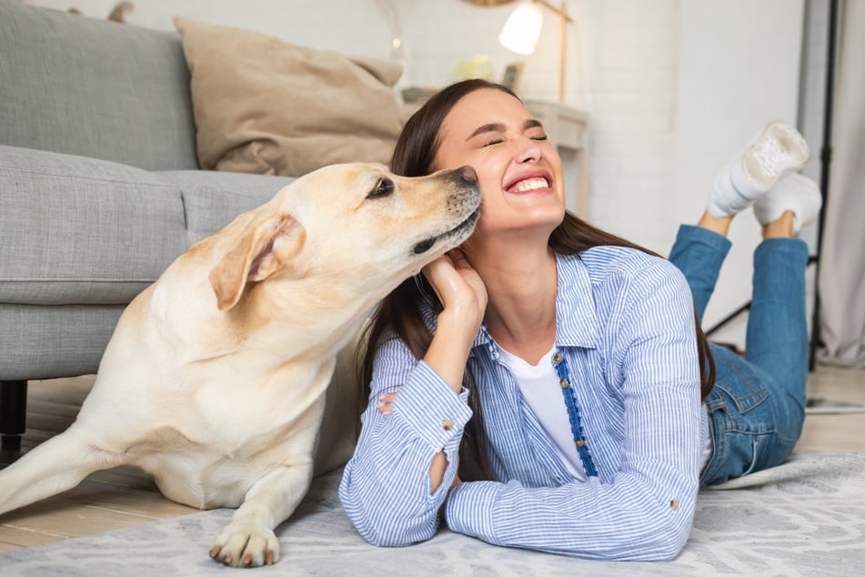 Hunde können diverse Emotionen und sogar Krankheiten erschnüffeln.