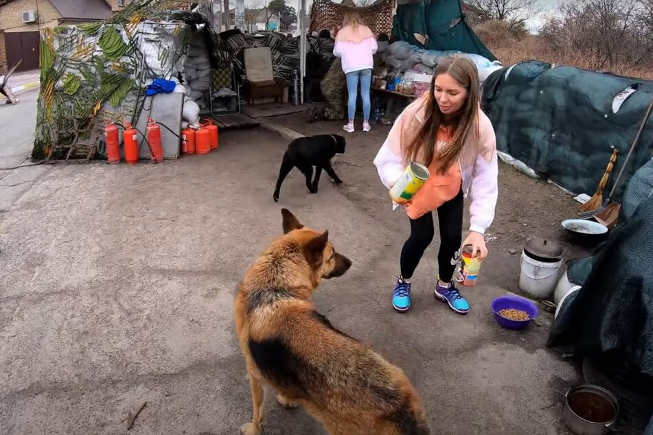Olena hilft den Hunden an einem Kontrollposten in der Ukraine.