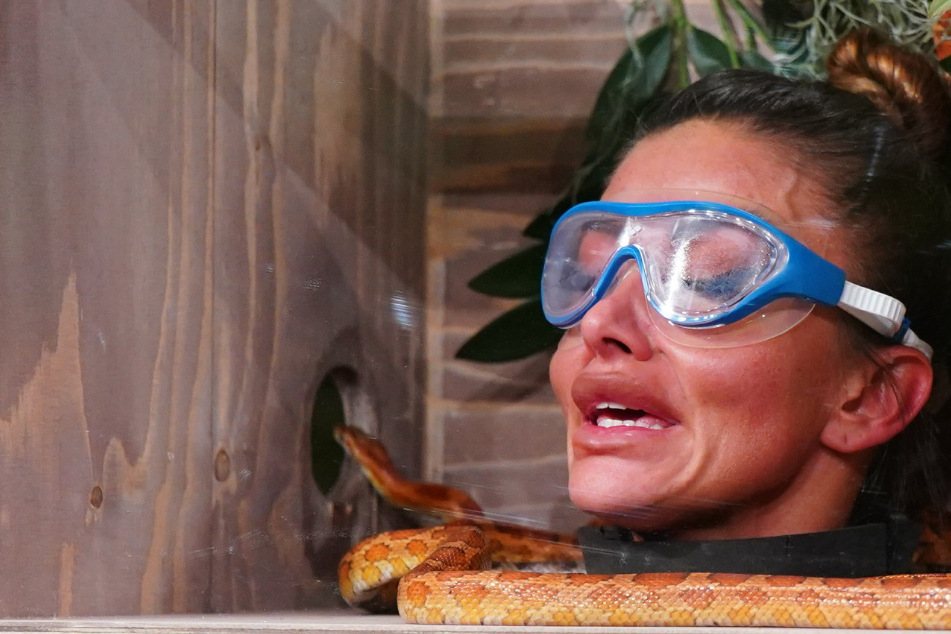 Dschungelshow, Tag 7: "98 Prozent der Reality-Stars sind geistig unterbewandert"