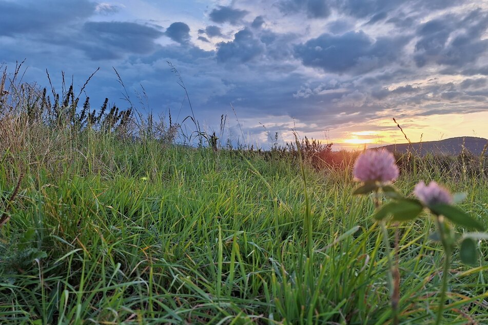 Thüringen-Wetter: So startet die neue Woche!