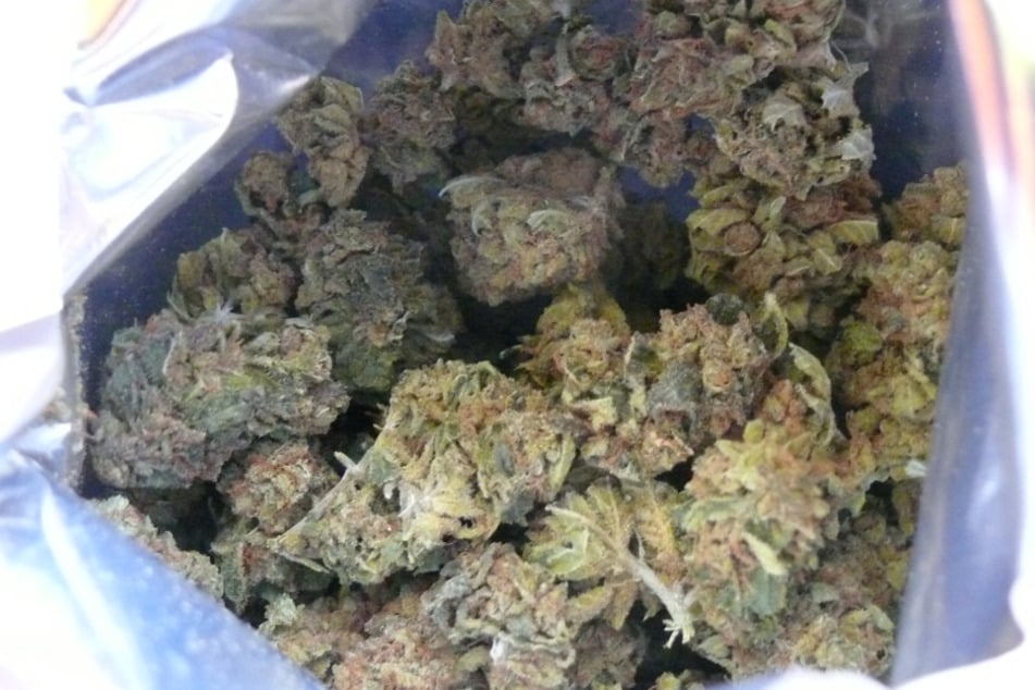Haltbarkeitsdatum überschritten: Zoll macht 632 Kilogramm Marihuana platt