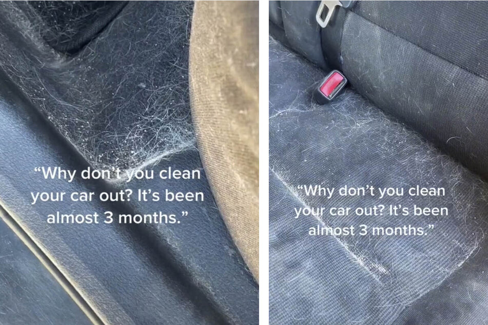 This dog owner can't bring herself to clean up the mess in her car because it reminds her of her dog that passed away.