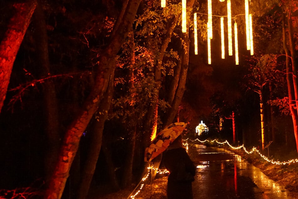 Hamburg: Nach NABU-Kritik: Christmas Garden eröffnet dritte Saison mit neuem Rundweg