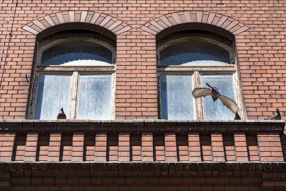 Hinter diesen Fenstern arbeiteten früher Verwaltungsmitarbeiter des angrenzenden Fabrikgeländes.