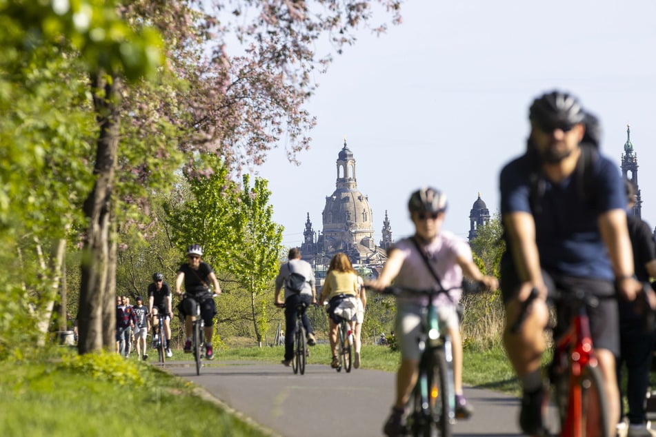 Der Elberadweg ist gefährlich. Immer wieder kommt es zu brenzligen Situationen.