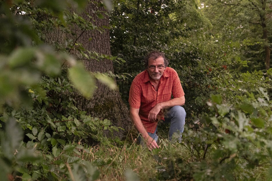 Auf seinen Glühwürmchen-Wanderungen gibt Matthias Nuß (58) all sein Wissen über die Insekten weiter.