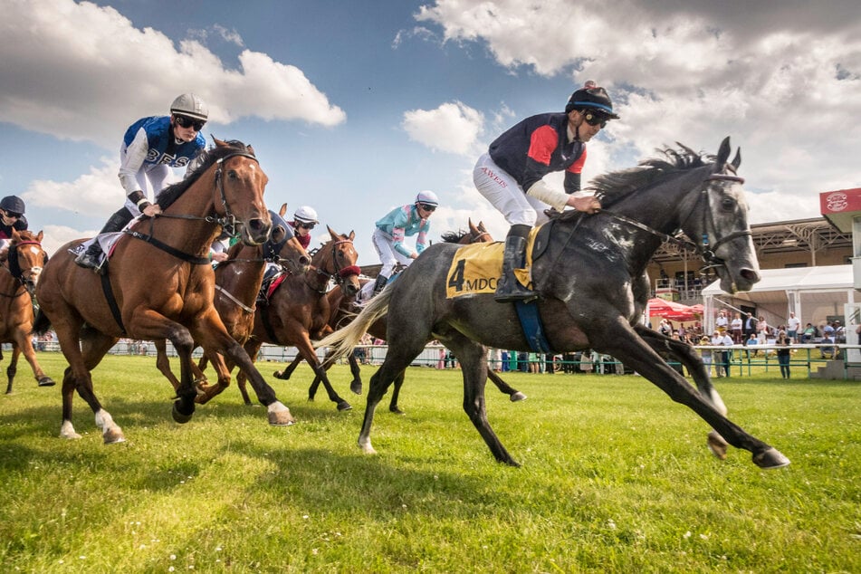 Nationale und internationale Starter und Jockeys werden am großen Familienrennen teilnehmen.