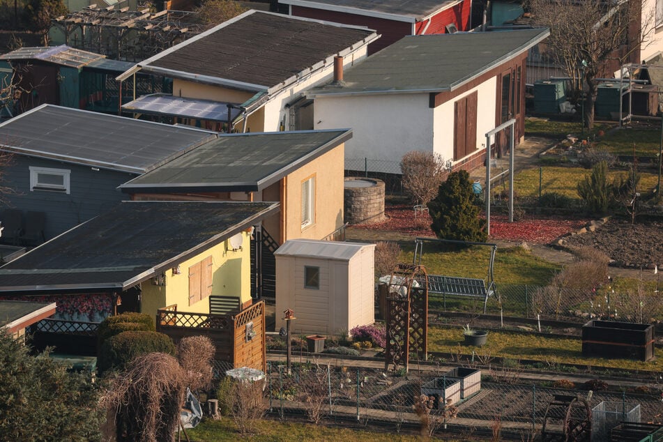 Weil die Pächter die Parzellen aus finanziellen Gründen oft nicht zurückbauen können, bleiben die Vereine auf den Kosten sitzen.