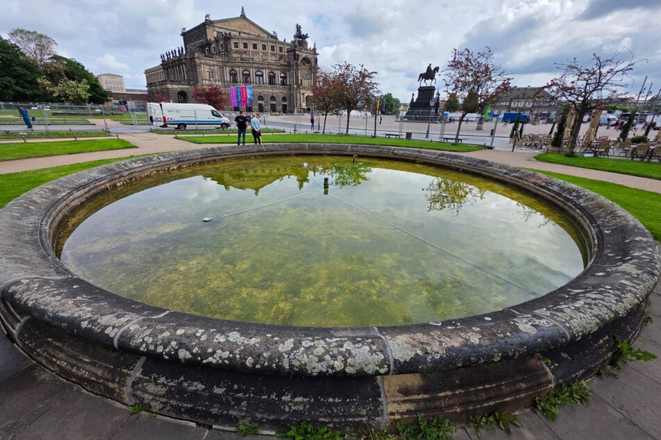Der grün leuchtende Farbstoff im Brunnen ist nicht umweltschädlich.